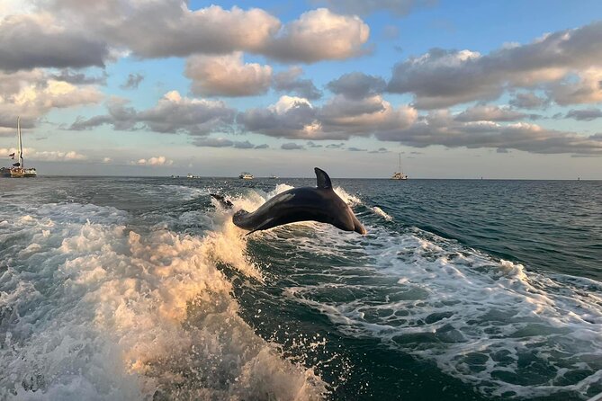 2 Hour Private Dolphin Sightseeing Tour - Meeting Derrick and Alicia at Beck Avenue