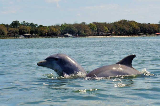 2-Hour Private Hilton Head Dolphin Watching Cruise - How the two hours usually feel