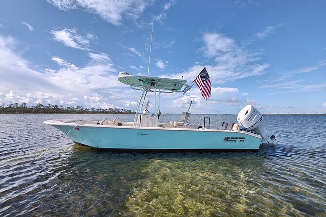 2-Hour Private Sightseeing Dolphin Tour in Panama City Beach - A Small Boat Makes the Difference