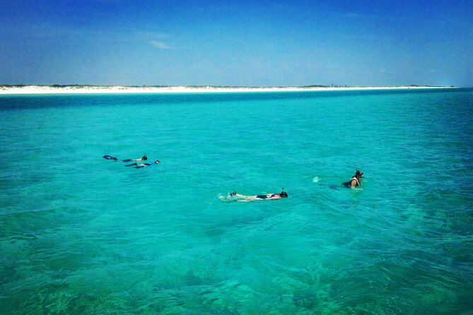 2-Hour Private Sightseeing Dolphin Tour in Panama City Beach - Shell Island Is More Than a Quick Stop