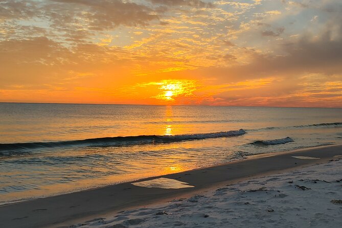 2-Hour Private Sightseeing Dolphin Tour in Panama City Beach - Family Fit, Older Relatives, and Pets