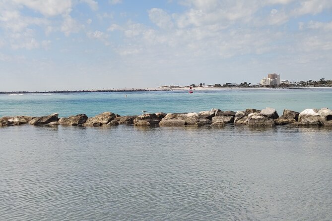 2-Hour Private Sightseeing Dolphin Tour in Panama City Beach - Is the Private Price Worth It?