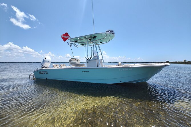 2-Hour Private Sightseeing Dolphin Tour in Panama City Beach - Searching for Dolphins in the Wild