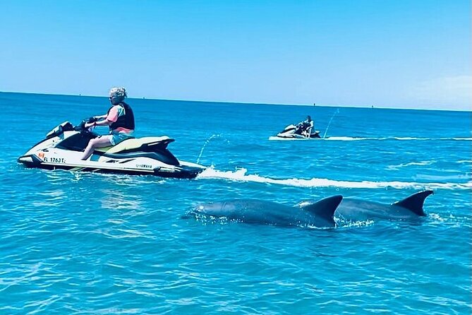 2 Hour Shell Island Jet Ski Dolphin Tour - Key details before you book