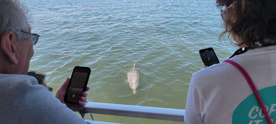 2 Hour Tiki Dolphin Sightseeing Tour in Cocoa Beach - Cape Crossing Marina and the practical details