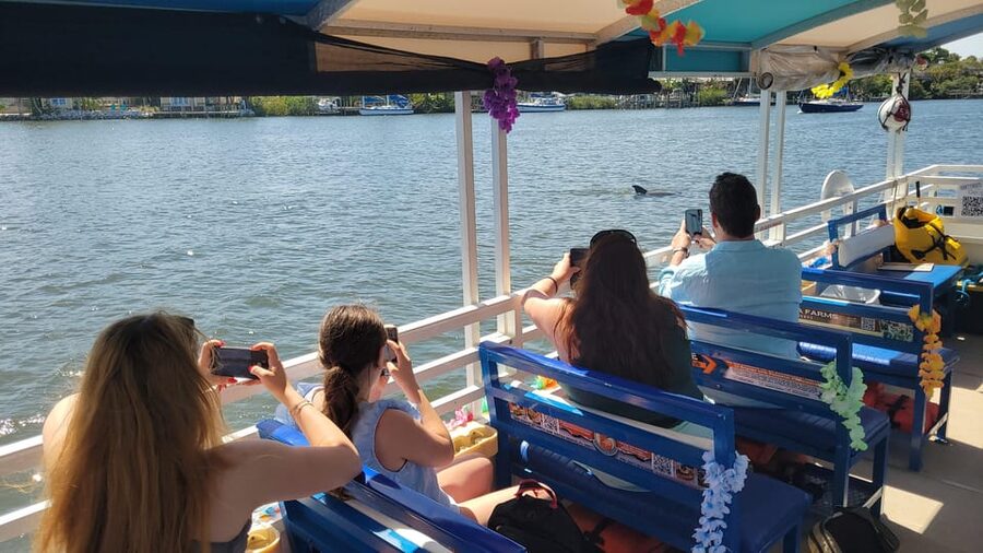 2 Hour Tiki Dolphin Sightseeing Tour in Cocoa Beach - Who should book this tour
