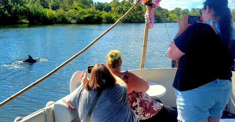 2 Hour Tiki Dolphin Sightseeing Tour in Cocoa Beach - What you can see from the boat