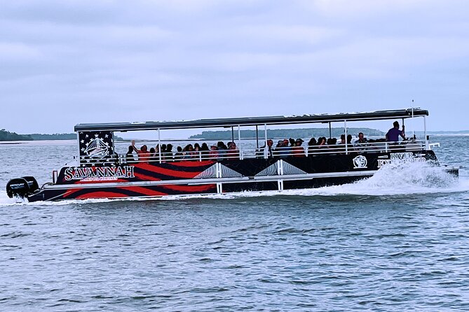 2 Hours Dolphin Eco Tour - Cold Weather, Rain, and Boat Comfort