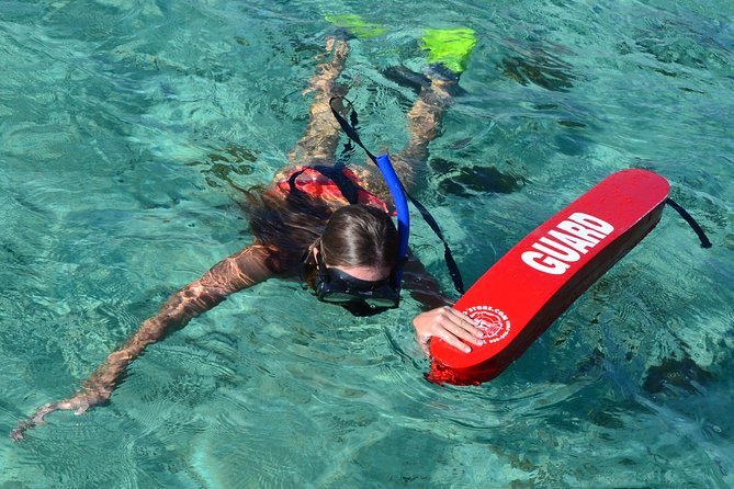 2-Hours Dolphin Excursion in Mauritius - The wildlife ethics question you should consider