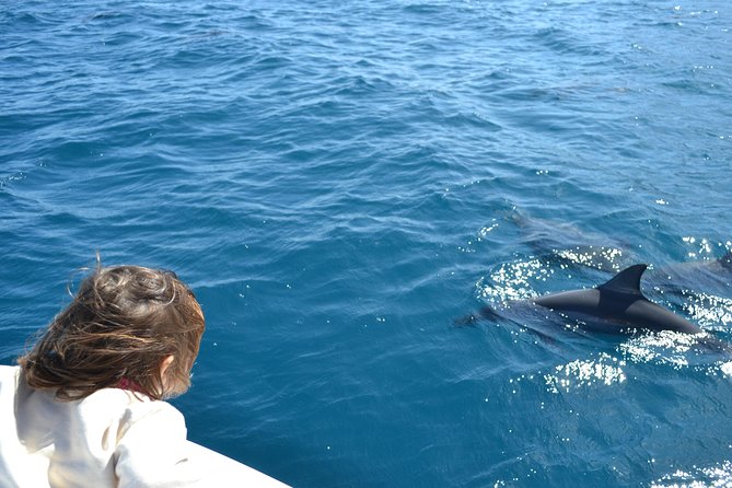 2-Hours Dolphin Excursion in Mauritius - Meeting Carl and Allen at La Balise Marina