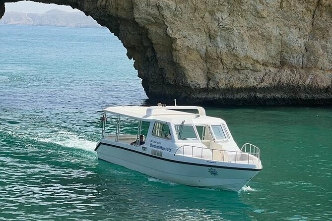 2 Hours Dolphin Watching Cruise in Muscat - Who Will Enjoy This Cruise Most?