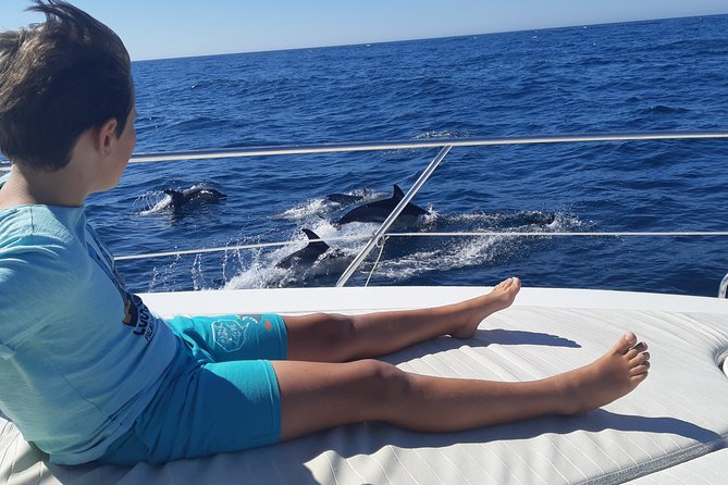 2 Hours Dolphin Watching in Marbella - Key points to know before booking