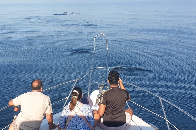 2 Hours Dolphin Watching in Marbella - Snacks, drinks, and the captain’s service