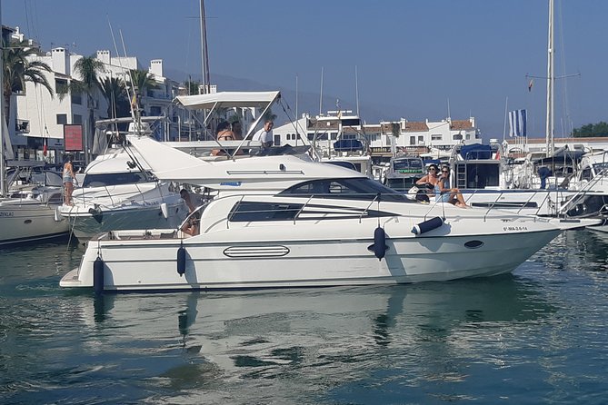 2 Hours Dolphin Watching in Marbella - Who will enjoy this most