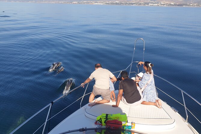 2 Hours Dolphin Watching in Marbella - A comfortable boat with room to relax