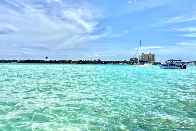 2 Hours Guided Dolphin Tour in Florida - Key Points Before You Book
