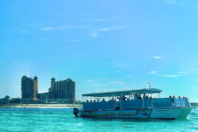 2 Hours Guided Dolphin Tour in Florida - What the Two-Hour Route Actually Includes