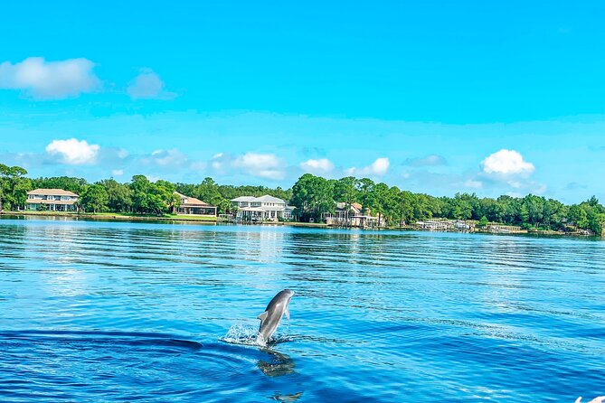 2 Hours Guided Dolphin Tour in Florida - Dolphins, Clear Water, and Realistic Expectations