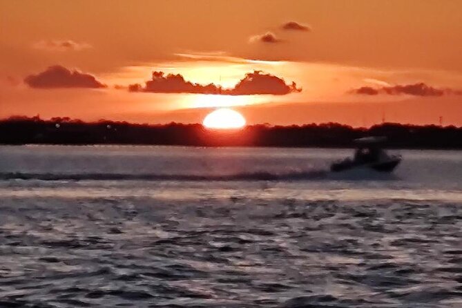 2 Hours Swim with the Dolphins in Panama City - Who Will Enjoy This Most?