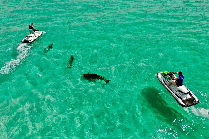2 Passenger Jet Ski Dolphin Tour from Gilligan’s Watersports - Why this Destin jet ski tour is different