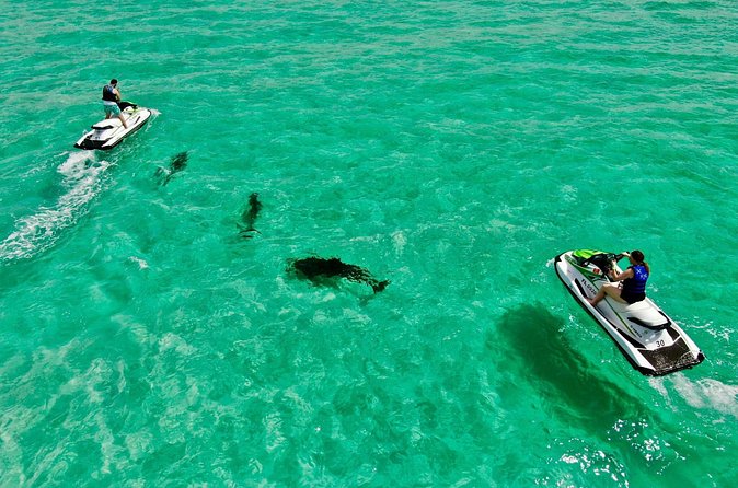 2 Passenger Jet Ski Dolphin Tour from Gilligan’s Watersports - Who will enjoy this most