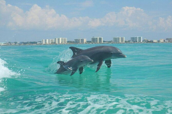 2-Stop Snorkeling and Dolphin Cruise from Destin - Getting to 500 Harbor Boulevard