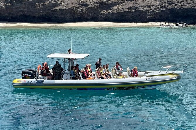 2h Dolphin and Whale Viewing + Snorkeling Tour - Leaving from Puerto del Morro Jable