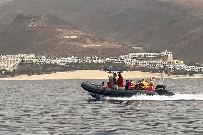 2h Dolphin and Whale Viewing + Snorkeling Tour - Who should book this outing