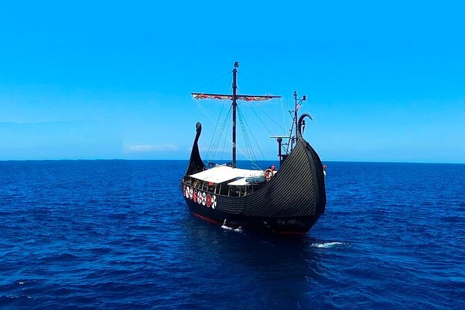 2h Viking Cruise Whales & Dolphins Watching - The boat, seating, and onboard comfort