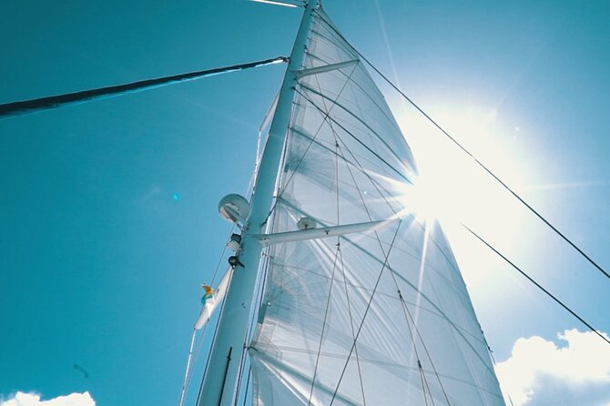 2hrs Dolphins Sunset Sailing Cruise With Drink - Pickup, timing, and group size