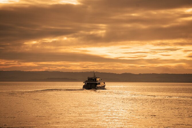 3-Hour Dolphin and Seal Sightseeing Cruise, operated with swim tour passengers - Who will enjoy this cruise most?