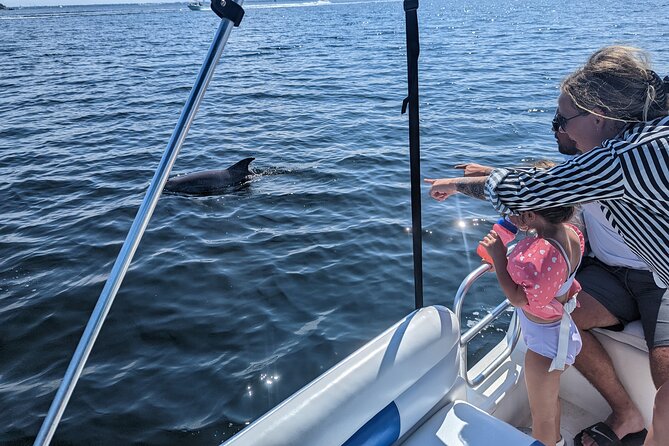 3 Hour Dolphin Private Guided Tour By A Marine Biologist - Key points to know before booking