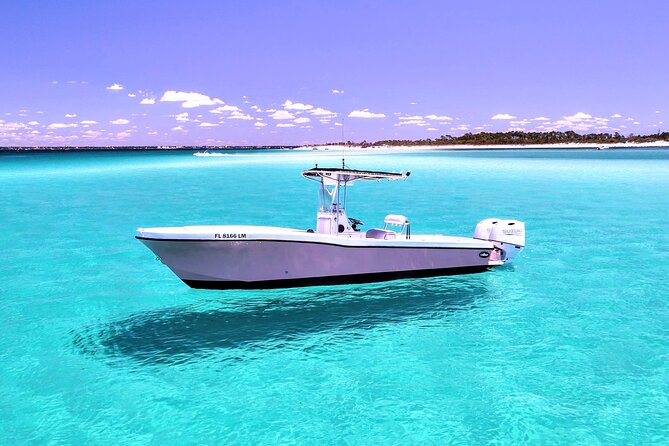 3 Hour Dolphin Tour and Snorkeling in Shell Island - Key points at a glance