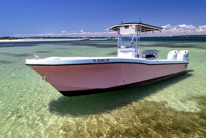 3 Hour Dolphin Tour and Snorkeling in Shell Island - Shell Island, seven miles of undeveloped beach