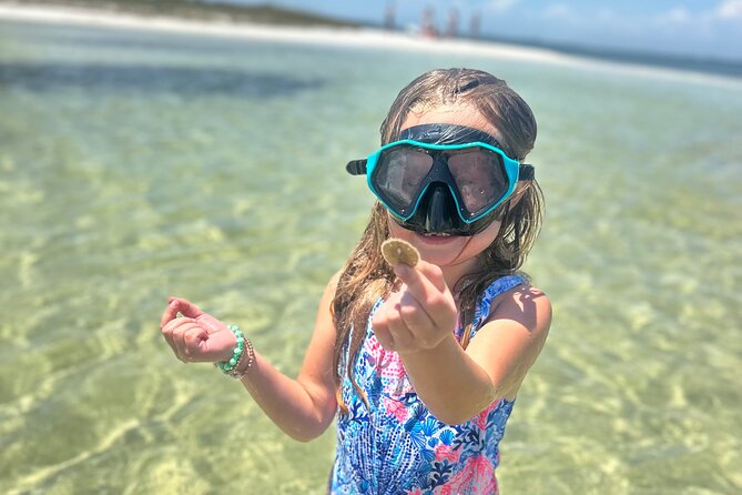 3 Hour Dolphin Tour and Snorkeling in Shell Island - What the three hours may feel like
