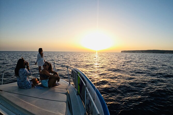 3-Hour Dolphin watching at sunset with aperitif - Looking for dolphins in open water