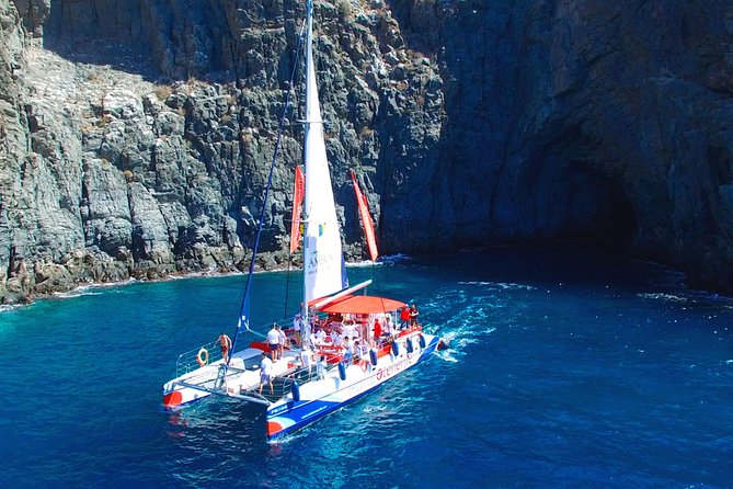 3-hour Whale and Dolphin Watching and Listening Tour - What makes this cruise worth considering