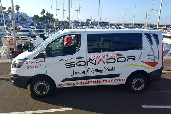 3 Hours All Inclusive Whale and Dolphin Whatching Yacht Trip - Swimming, snorkeling, and paddle boarding
