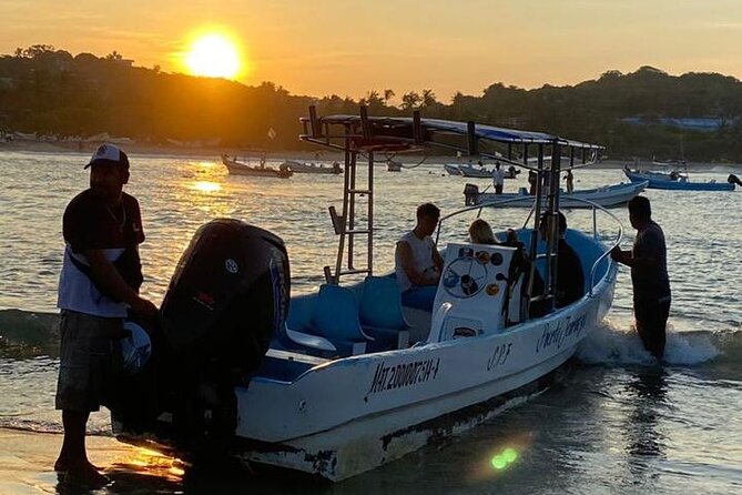 3-Hours Dolphin and Turtle Watching in Puerto Escondido - Humpback whale season from November to March