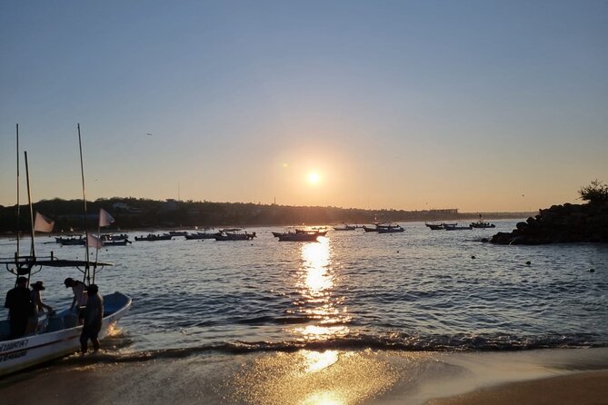 3-Hours Dolphin and Turtle Watching in Puerto Escondido - The wet-weather question
