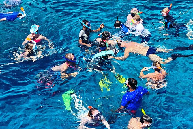 3-Hr Private Snorkeling and Dolphin Watching Tour at Muscat - Snorkeling among coral reefs and tropical fish