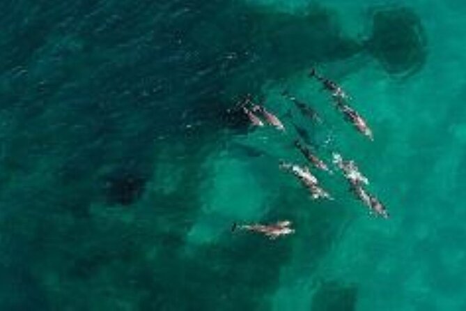 3 Island Wildlife Snorkel - Setting out from Shoalwater at 8:00 am