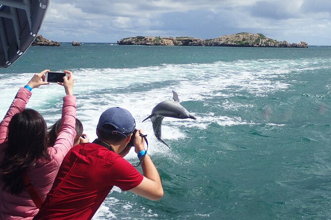 3 Island Wildlife Snorkel - Snorkeling support for first-timers