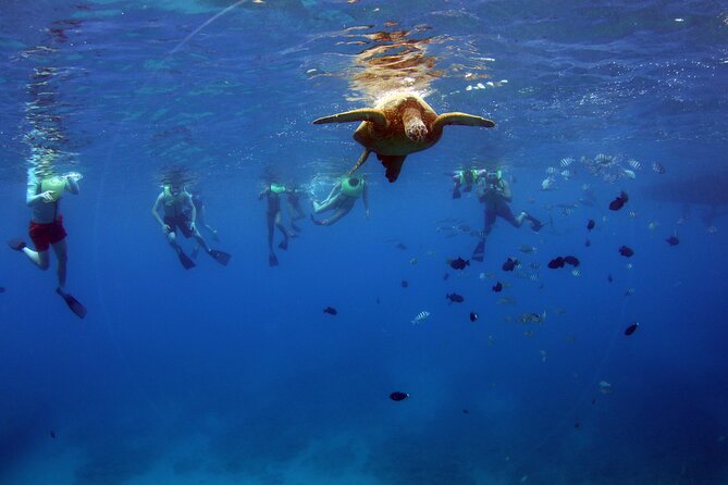 3 Zipline Adventure and 3.5 hour Afternoon Snorkel Cruise - A Hawaiian buffet that makes the long day easier