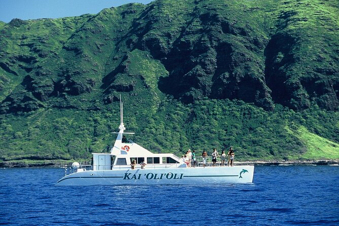 3 Zipline Adventure and 3.5 hour Afternoon Snorkel Cruise - What the small group changes