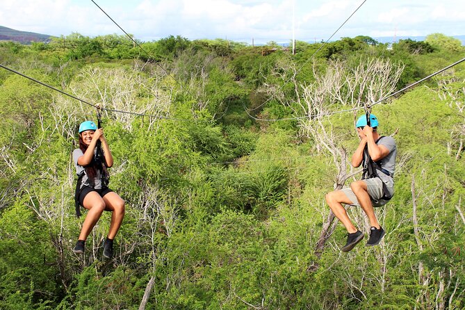 3 Zipline Adventure and 3.5 hour Afternoon Snorkel Cruise - The transfer from Coral Crater to Ko Olina Marina