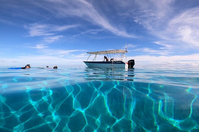 3h dolphin and snorkeling tour in a wild lagoon with Mobydick - From Paea to the Mara’a Lagoon