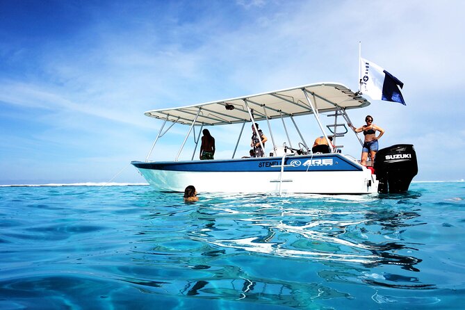 3h dolphin and snorkeling tour in a wild lagoon with Mobydick - What the guides add to the experience