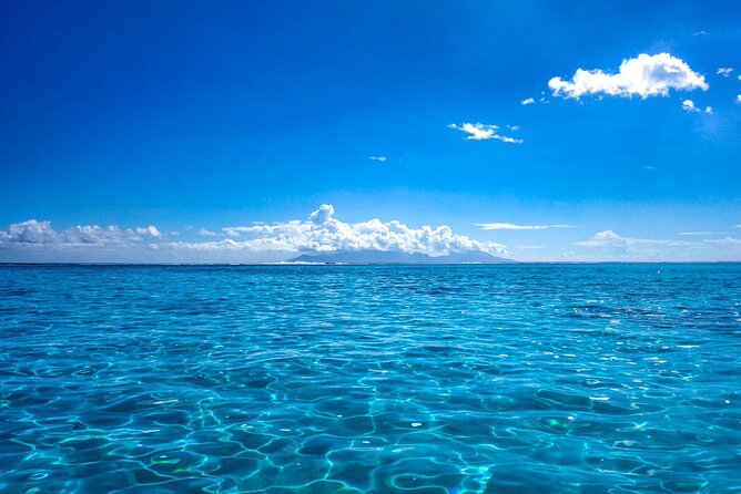 3h dolphin and snorkeling tour in a wild lagoon with Mobydick - Practical details that make the day easier