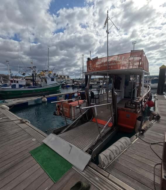 3H Shared Barrier-Free Cruise with Turtles Dolphins & Whales - Key points to know before boarding